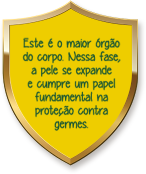 Ninho Fases - Pele