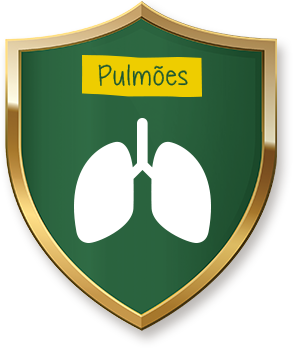 Ninho Fases - Pulmão